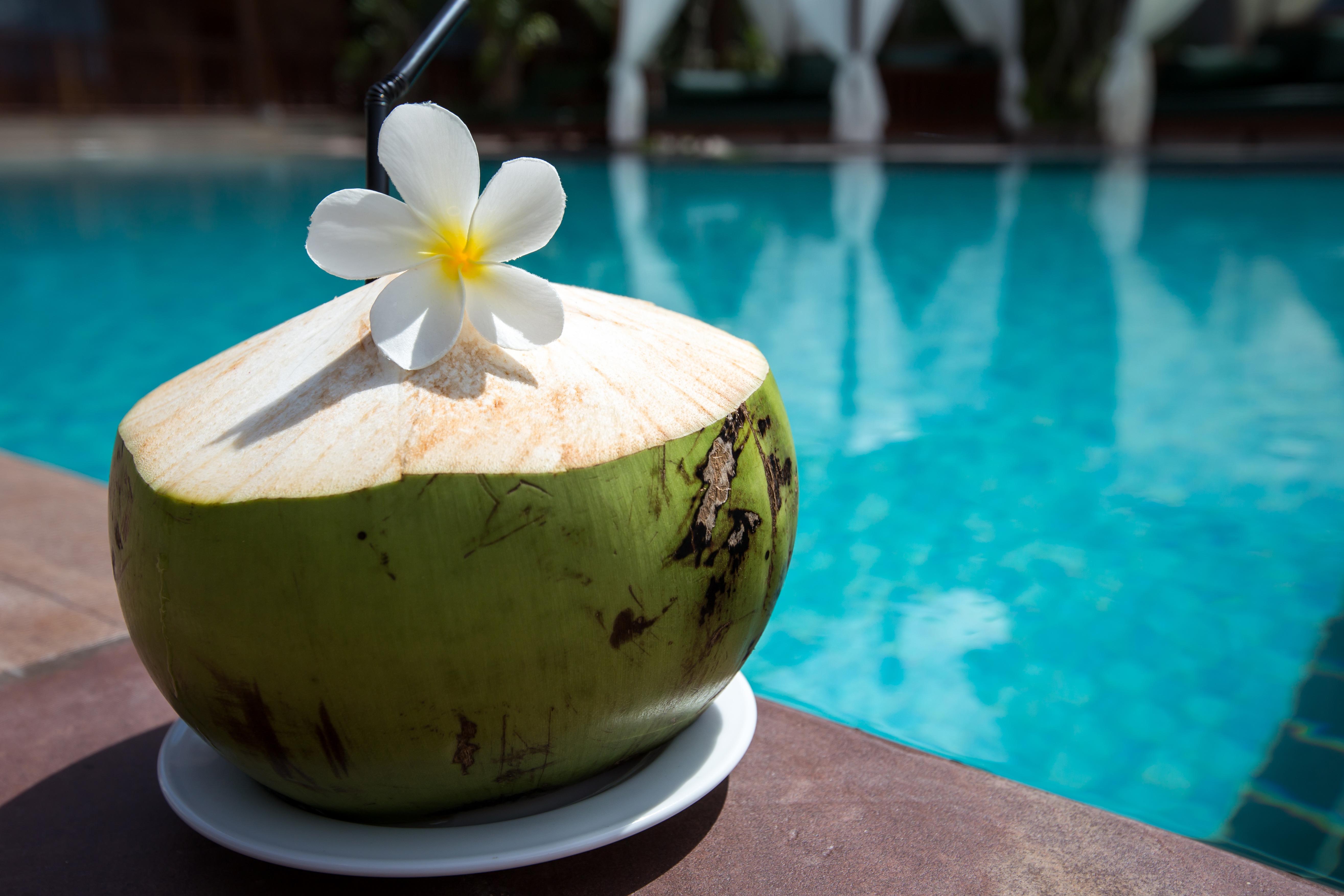 Model Angkor Resort Siem Reap Eksteriør billede